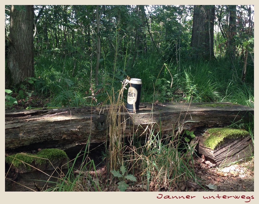 isotonisches Getränk im Wald