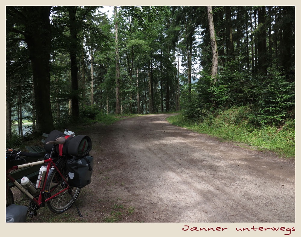 Weg am Stausee