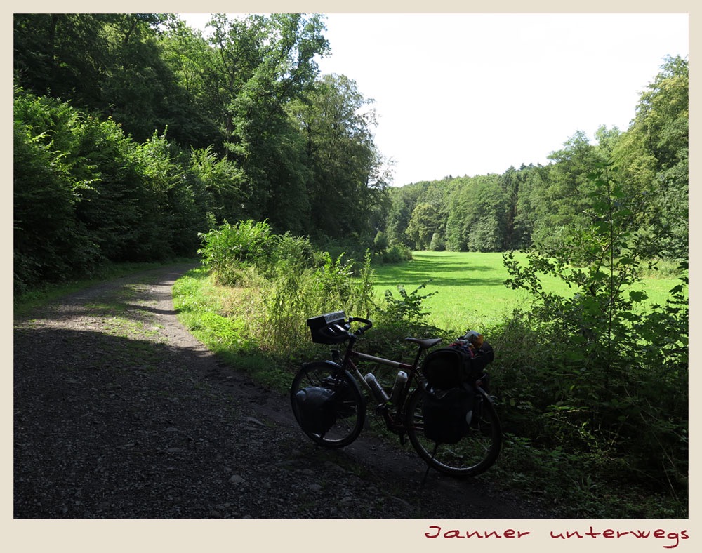 schöner Blick