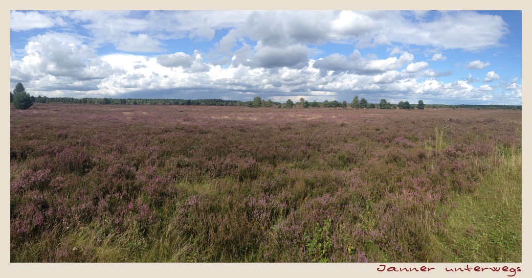 Lüneburger Heide